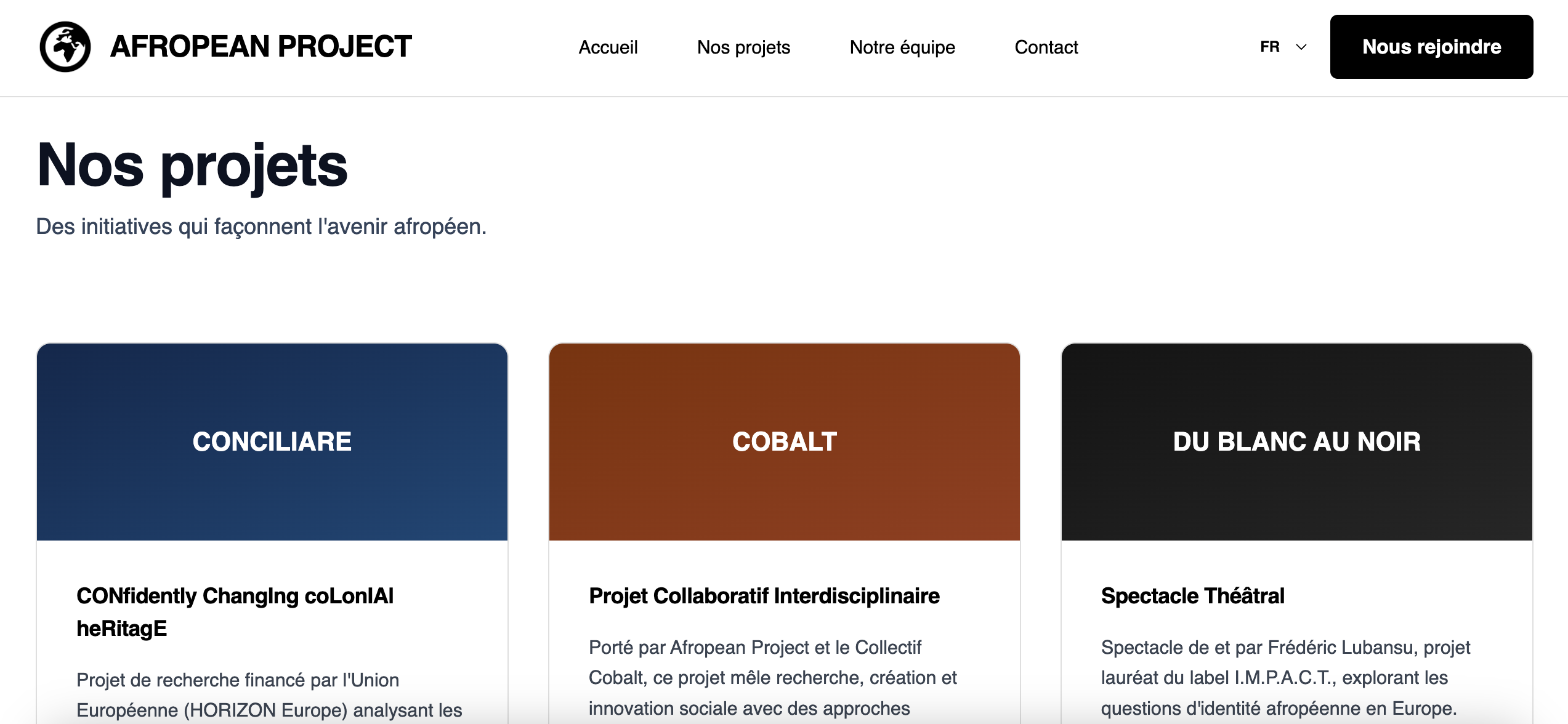 Aperçu du site Afropean Project